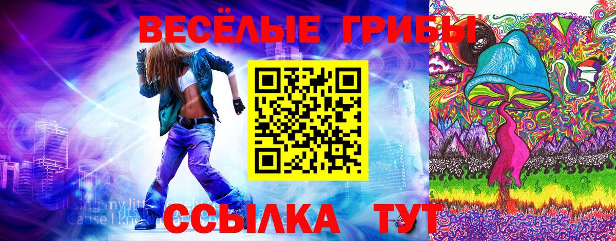 Галлюциногенные грибы ЛСД  Вход с VPN  купить закладку  Псилоцибиновые грибы Psilocybe  Миллерово 